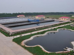 寶坻區(qū)農(nóng)村污水處理與改造.jpg