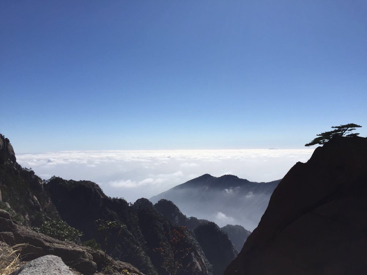 重大消息！今日起招標(biāo)新規(guī)正式實(shí)施，低于100萬(wàn)的勘察、設(shè)計(jì)、監(jiān)理；低于400萬(wàn)工程將不再需要招標(biāo)！