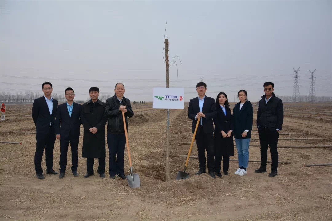 綠水青山就是金山銀山--泰達(dá)咨詢董事長帶隊(duì)參加靜海區(qū)植樹造林活動(dòng)